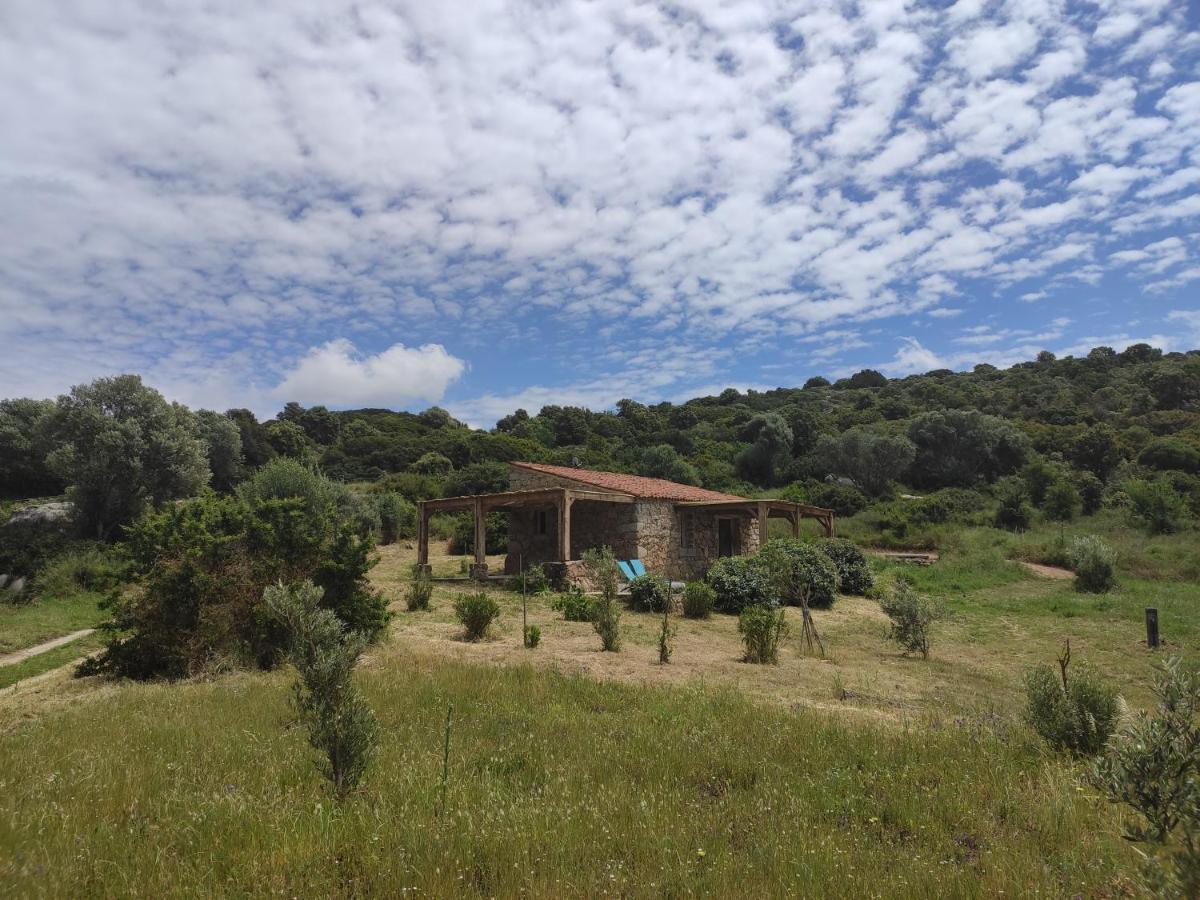 Casa Lysandra