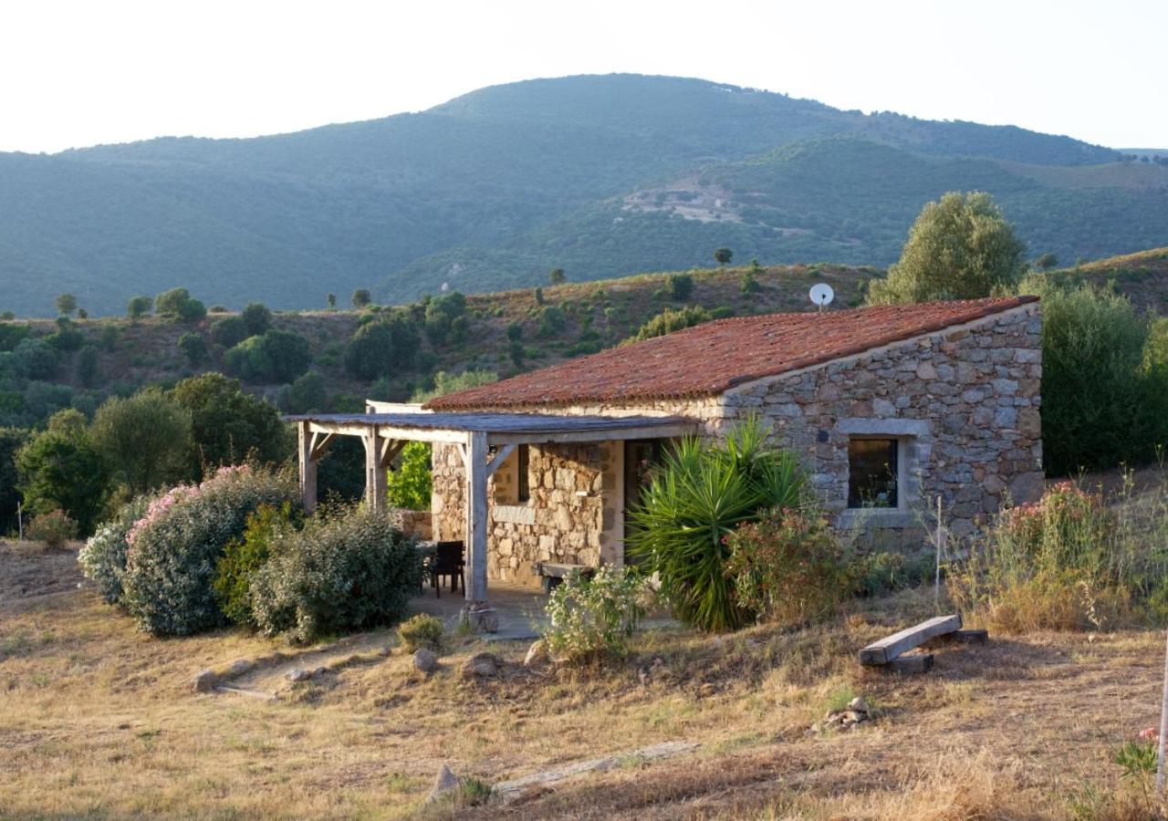 Holiday home Casa Lysandra